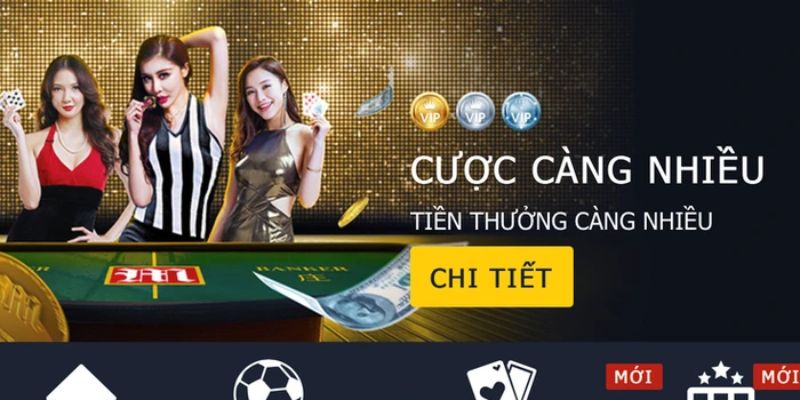 Quan sát tỷ lệ cược một cách thường xuyên