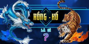 Khái niệm cơ bản về game Rồng Hổ