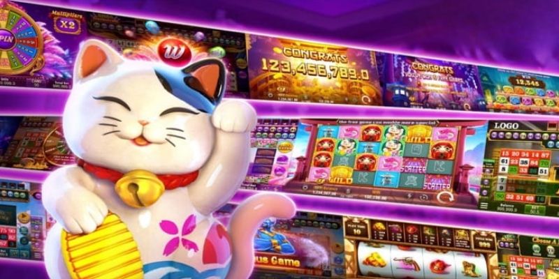 Bet thủ nên quản lý vốn cược của thân theo chiến thuật linh hoạt